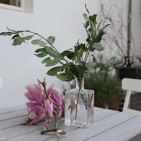 فندق Colomba فلورنس