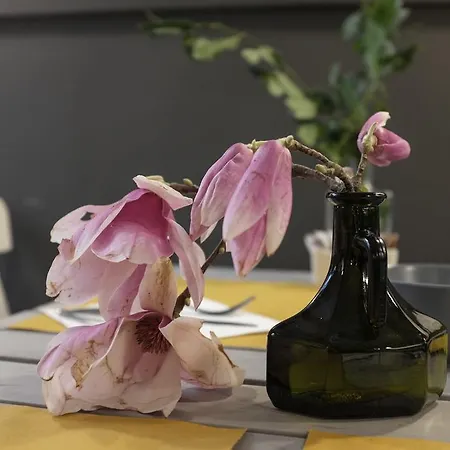 Colomba فلورنس